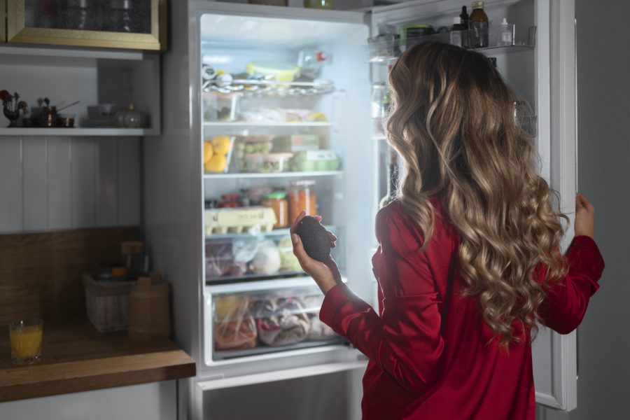 Chiller vs Freezer: Mana yang Tepat untuk Produk Anda?