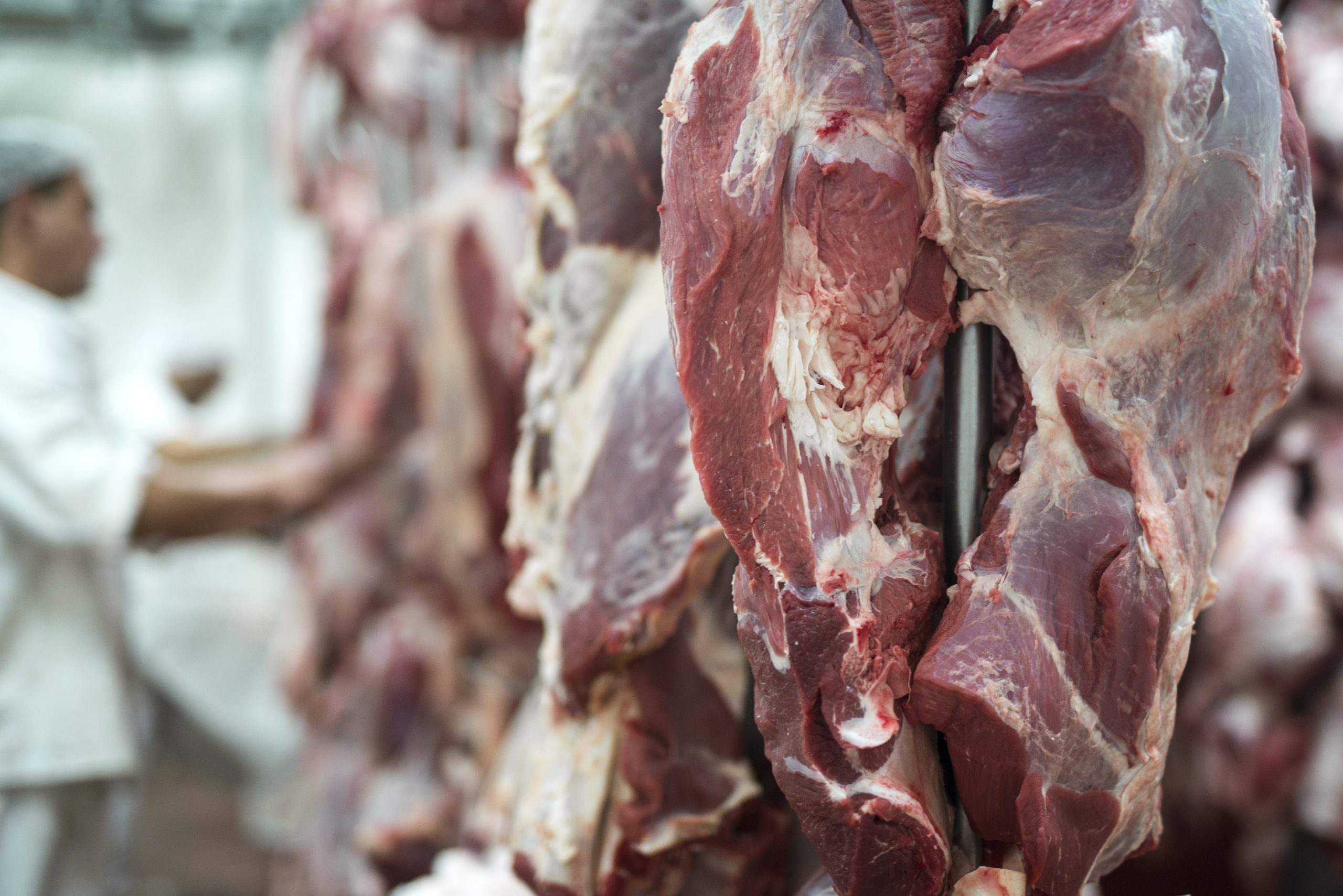 Penyimpanan daging merah segar di ruangan pendingin bersuhu terjaga